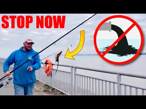 Видео: ЭКОЛОГИЧЕСКАЯ КАТАСТРОФА ⚠️ ЭТО ДОЛЖНО ПРЕКРАТИТЬСЯ ❗️