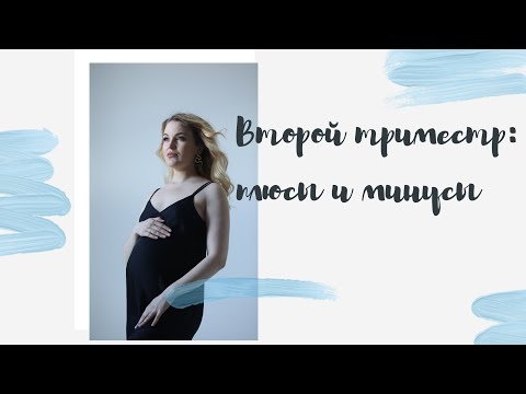Видео: Мой второй триместр беременности: плюсы и минусы
