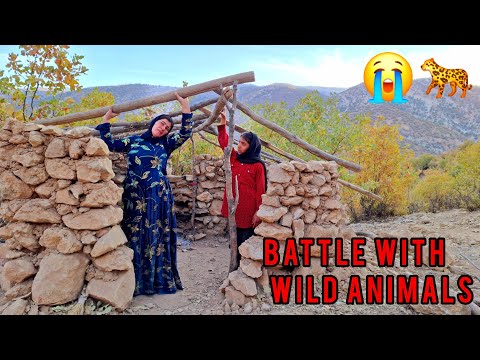 Видео: Строительство крыши хижины для бездомной матери, защищающей от диких животных