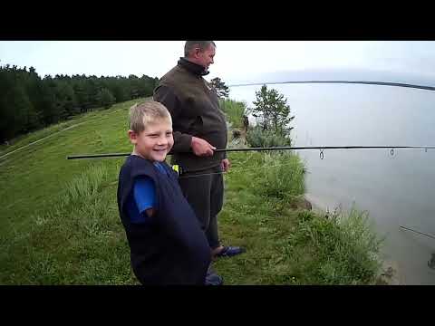 Видео: Рыбалка на сазана, осень