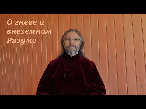 Видео: Встреча 14