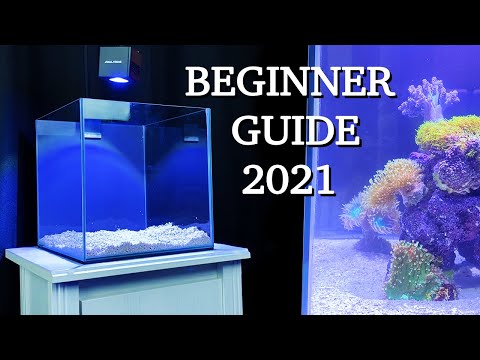 Видео: Нет денег, нет проблем — ОСНОВЫ РИФОВОГО АКВАРИУМА — «как запустить морской аквариум» РУКОВОДСТВО...