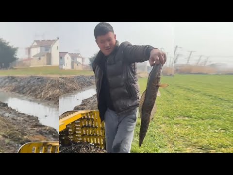 Видео: Рыба JCB 🐠🐟 Охота на реке