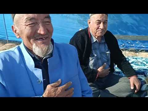 Видео: Сафар бохши Жовли бохши тўйида Хандалда, Қумқўрғон. 