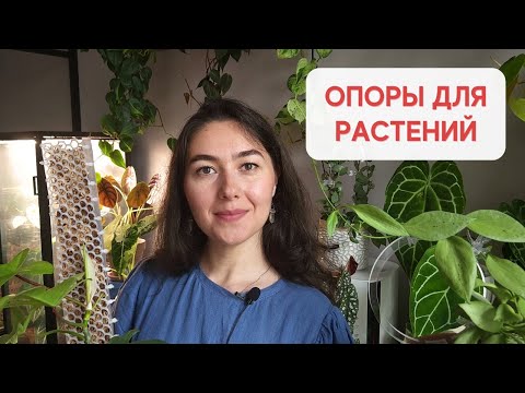 Видео: Мои ОПОРЫ для РАСТЕНИЙ / ЗАЧЕМ растениям ОПОРЫ?