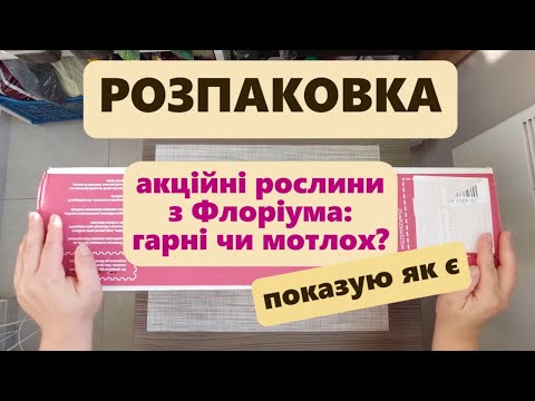 Видео: Розпаковка посилки з Флоріума. Замовлення акційних рослин: що прийшло. Яка якість?