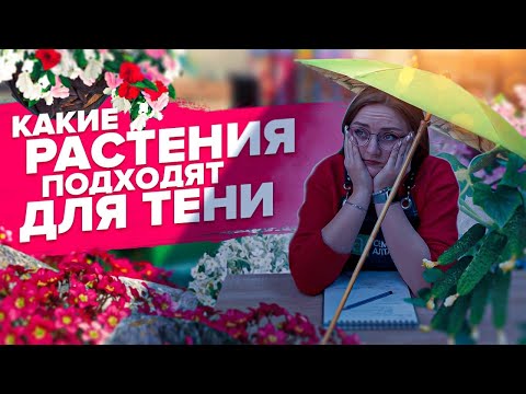 Видео: ЧТО ПОСАДИТЬ В ТЕНИ ИЗ ОВОЩЕЙ И ЦВЕТОВ?