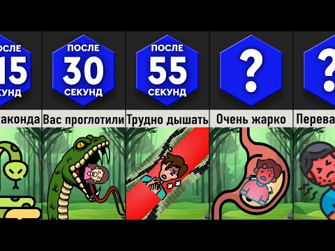 Видео: Что, Если Вас Проглотила Анаконда?