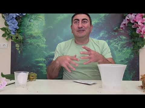 Видео: Стоит ли возится с уценочной орхидеей?