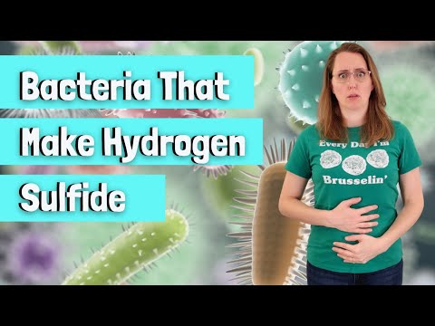 Видео: Бактерии, вырабатывающие сероводород (H2S)
