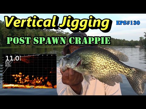 Видео: Вертикальный джиг-спот: нерест краппи на озере Талькин с помощью Livescope — Эпизод №130