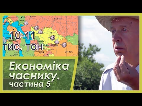 Видео: Чеснок. Ситуация сегодня, экономика выращивания. Часть 5.Сучасна ситуація, економіка вирощування.