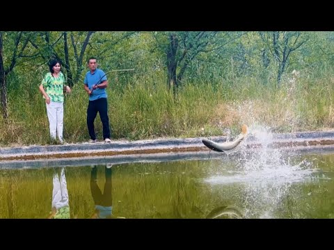 Видео: БУЖУМ АЙЫЛЫ
