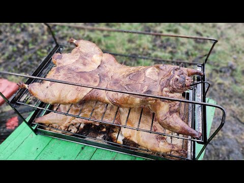 Видео: Нутрия горячего копчения. Закоптить нутрию, сможет даже новичок