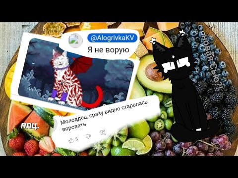 Видео: реакция на Алогривку! @AlogrivkaKV Сью или КВшник? #котывоители #возрадимрукв