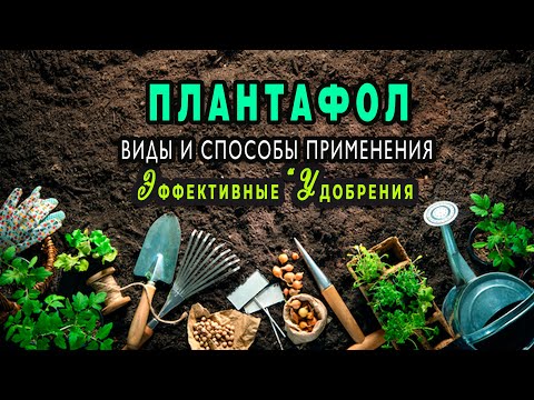 Видео: Удобрение Плантафол — лучшая подкормка по листу. Виды и инструкция по применению