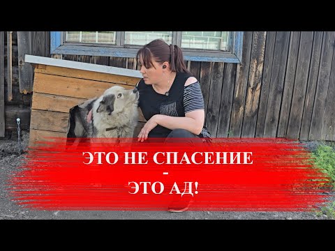 Видео: Исповедь сельской дурочки