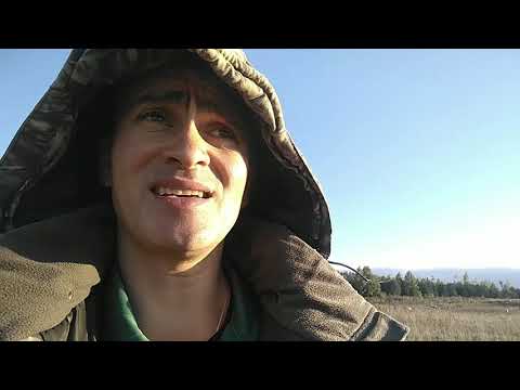 Видео: 60 голов одному реально! часть 3. Сбыт.