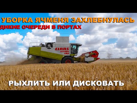 Видео: Натуры нет! уборка ячмень девятый вал 2024. Дисковая борона Паллада или General