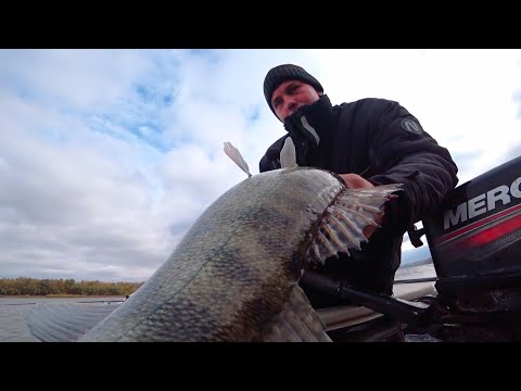 Видео: УШЁЛ ОТ ВСЕХ! А ТУТ РАЗДАЧА! РЫБАЛКА НА ВЕЛИКОЙ РЕКЕ ДОН