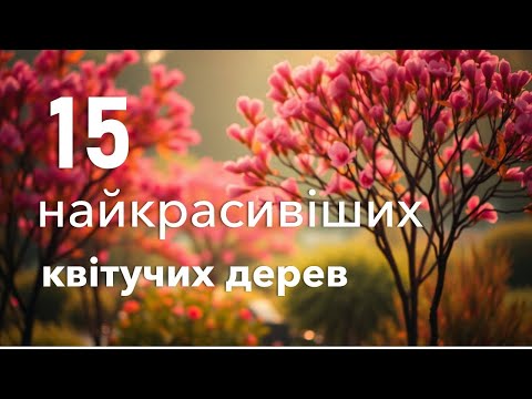 Видео: 15 найкрасивіших квітучих дерев.