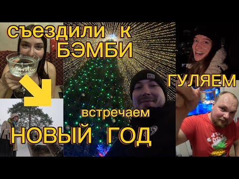 Видео: Съездили к БЭМБИ. Встречаем Новый год. Гуляем по ГРОДНО!