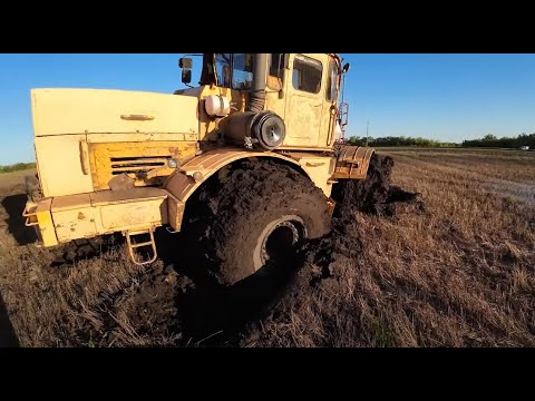 Видео: Трактор Кировец. Сеем ячмень. Забуксовал.