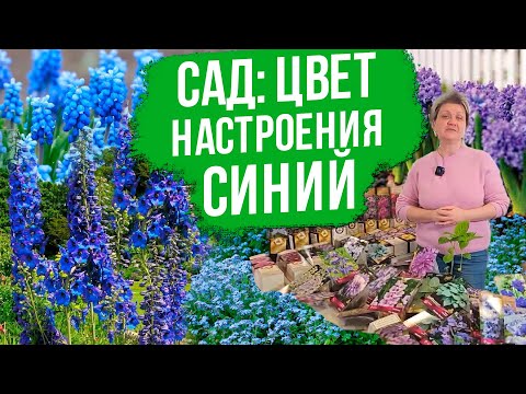 Видео: Монохромный сад с Оксаной Пискаревой. Цветочные композиции в сине-фиолетовом оттенке.