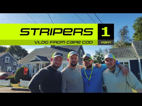 Видео: 🎣 VLOG – Ловля полосатых рыб – Часть 1 | Кейп-Код, США
