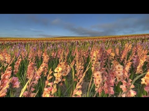 Видео: Немного из жизни... Уход...Новое платье.. 