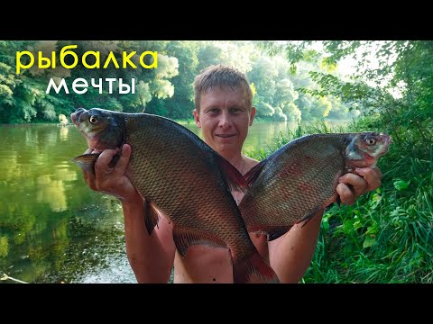 Видео: Рыбалка мечты на Северском Донце Ловля ТРОФЕЙНОГО ЛЕЩА