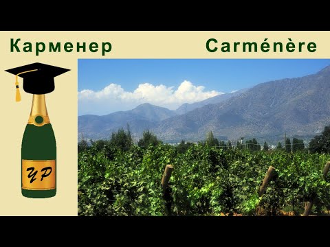 Видео: Карменер