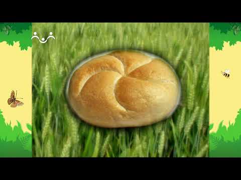 Видео: День в Шишкином Лесу. Совинформ. Какой бывает хлеб