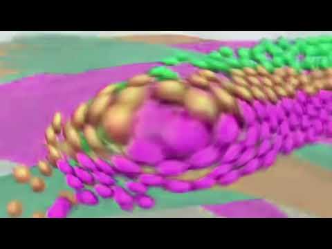 Видео: Телекомпания Класс Заставка (1994-2021) In Too Ruins Tree