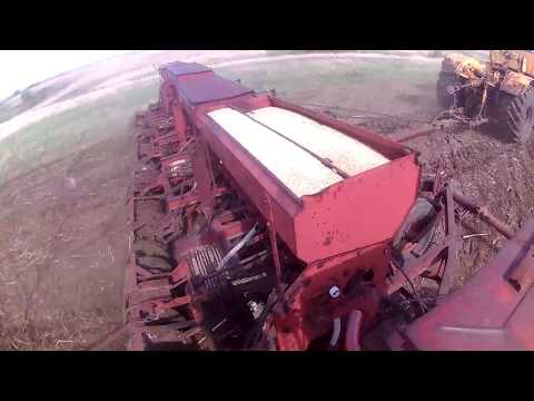 Видео: К-701,Т-4 Алтай,ЗИЛ-130 Посев ячменя и борнование по посевам