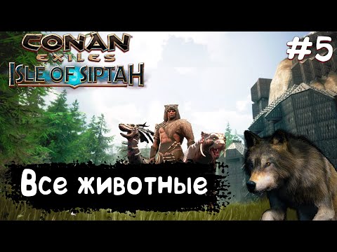 Видео: Conan Exiles Isle Of Siptah #5 Все прирученные животные