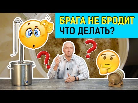 Видео: Брага не бродит. Кто виноват и что делать?