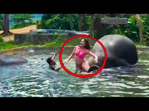 Видео: Невероятные Моменты, Снятые на Камеру