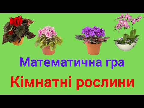 Видео: Кімнатні рослини. Математична гра.