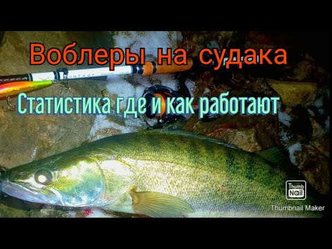 Видео: Ночной судак на воблеры. Статистика по воблерам где в каких условиях использовать воблеры.