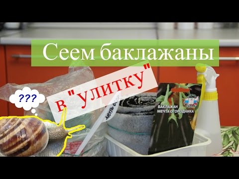 Видео: Сеем баклажаны в "улитку".