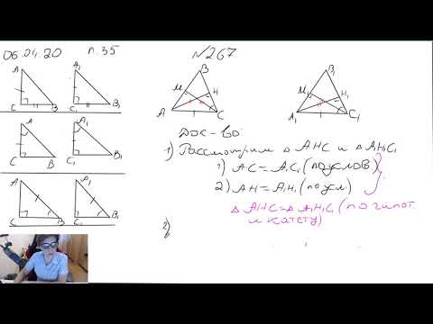 Видео: 7 класс — Признаки равенства прямоугольных треугольников