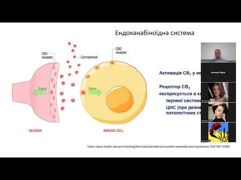 Видео: Клінічна фармакологія канабіноїдів