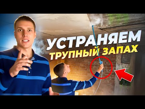 Видео: БЫСТРОЕ устранение ТРУПНОГО запаха. ЧТО нужно сделать УЖЕ СЕЙЧАС. Эксперт расскажет