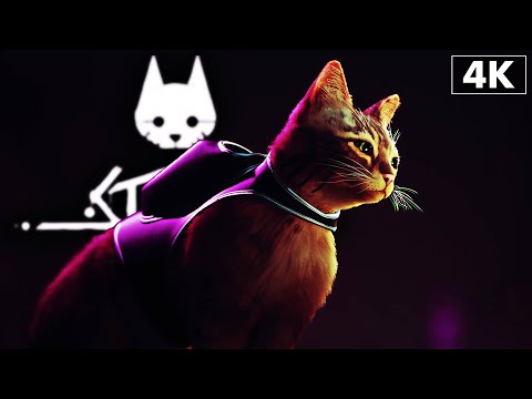 Видео: ИГРОФИЛЬМ | STRAY ➤ Прохождение Без Комментариев [4K PS5] ➤ Стрэй Геймплей на Русском