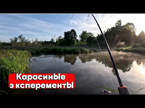 Видео: ЖОР ПОСЛЕ НЕРЕСТА. НАЛОВИЛ 3 МЕШКА...КАРАСЬ НА СПИННИГ. МОРМЫШИНГ. РЫБАЛКА В МАЕ 2024