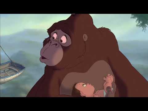 Видео: Теория почему Симба 🦁 кажется злым 😡.