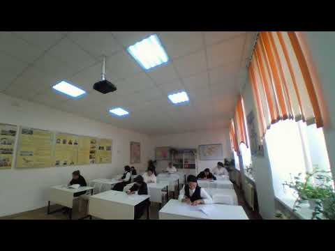 Видео: Алтын тұғыр