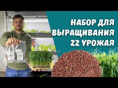 Видео: Инструкция к Набору «Хочу Всё Попробовать»