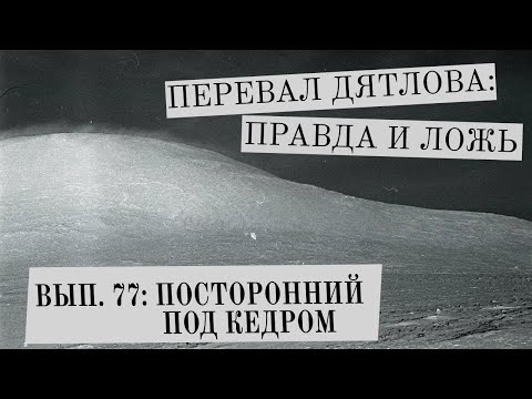 Видео: ПОСТОРОННИЙ ПОД КЕДРОМ (Перевал Дятлова: Правда и ложь, вып. 77)